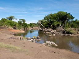 Western_Corridor2009-92